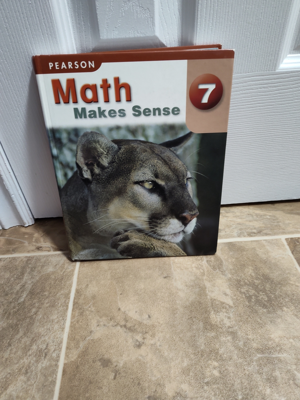 Pearson Math Makes Sense 7 Grade 7 Mathematics Hardcover Textbook
